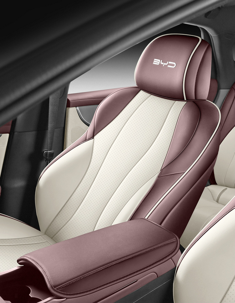 Special high-end 2025 BYD seal 07DMi full leather car seat cushion all seasons full foreskin seat cover