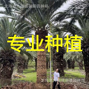 ��Ʒ��Ҏ����������� �L�~�̿� ������·�쾰�ؙ���Ʒ����