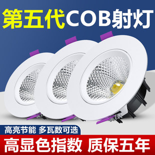 Ƕ��ʽcob������@ɫled���þ۹���{չ�d�������p�ݷ�ѣ�컨��