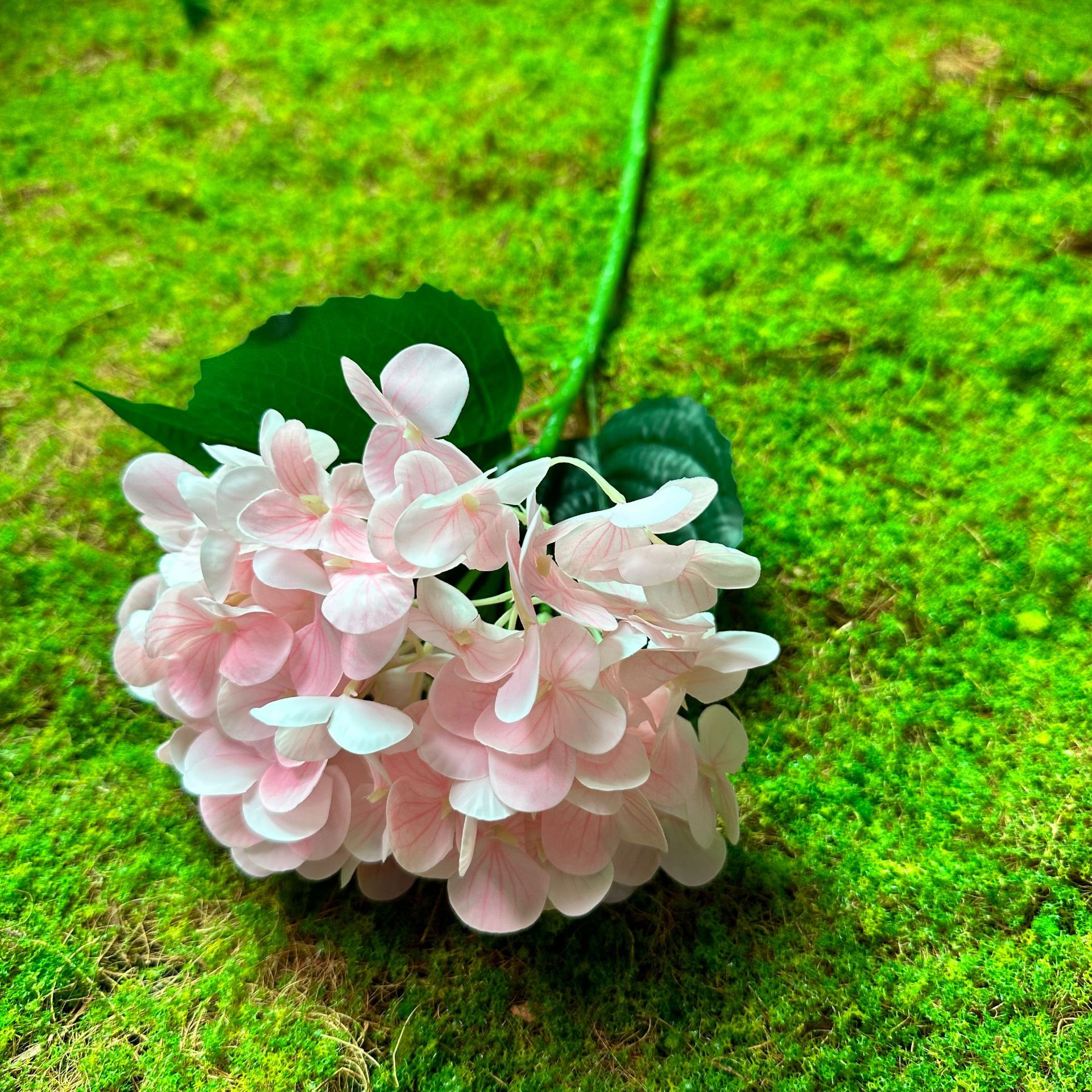 Hortensia simulada, flor simulada, sensación, ramo hidratante, evento de boda, accesorios de fotografía, decoración de ventana de sala de estar