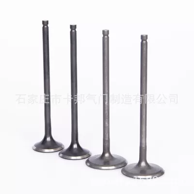 Series, Yutong Valve components