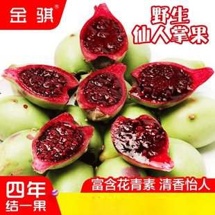 �������rҰ�������ƹ���2������ �������Ꭷϡ��Ź֛]���^��ˮ��