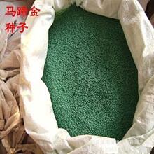 �~�X�ݷN��ˮ��ݻ��N���R����ƺ�N���~���쾰ˮ�ݷN���ļ����N