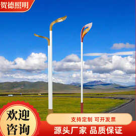 LED市电路灯造型花瓣草坪玉兰灯单臂双臂高低臂道路灯可做太阳能