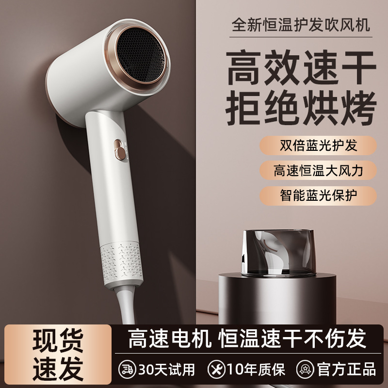 Factory Direct Supply Internet Celebrity Hair Dryer High-Speed Hair Dryer Without Damaging Hair High-Power Hair Dryer Household Constant Temperature Hair Care