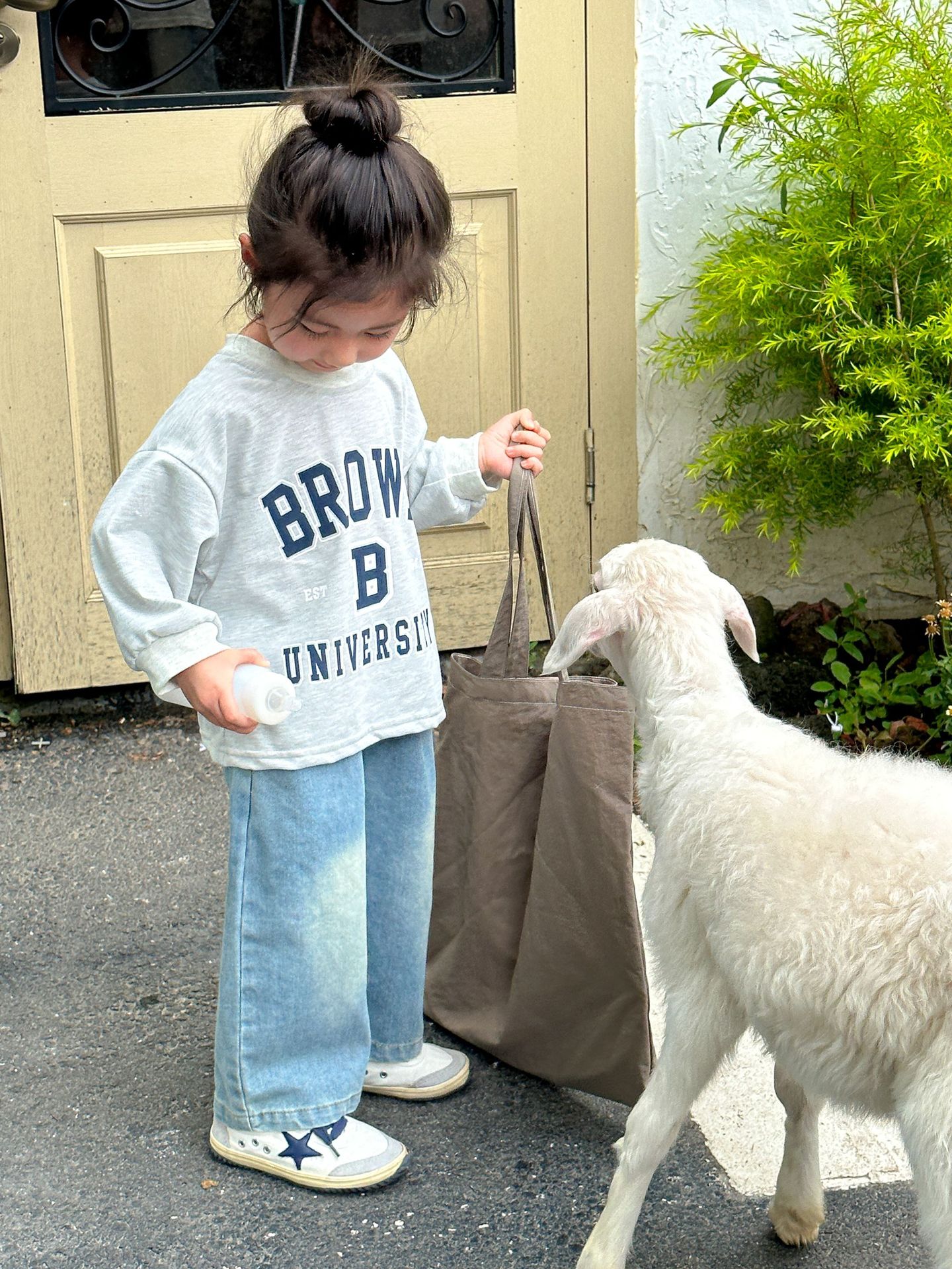 2024-06-06 113339.jpg