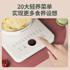 Gift factory wholesale health pot household multi-functional glass flower tea decoction pot electric heating water pot tea brewing device