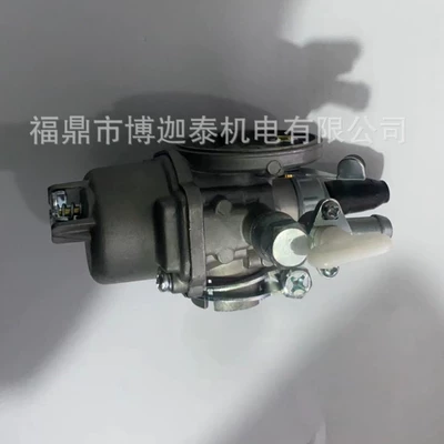 Garden accessories manufacturers Carburetor