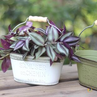 ?�Fˇ��Ͱ����ľ���֙E�A��ͥԺ���ޏ͹ſɒ�ʽ���Ứ�����@�s؛