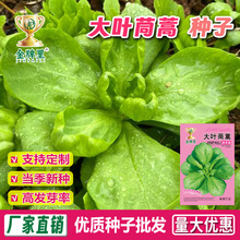 ���l���~����N�Ӵ����ļ��ʵ۲˷N���͟��＾�ͺ��߲˷N��