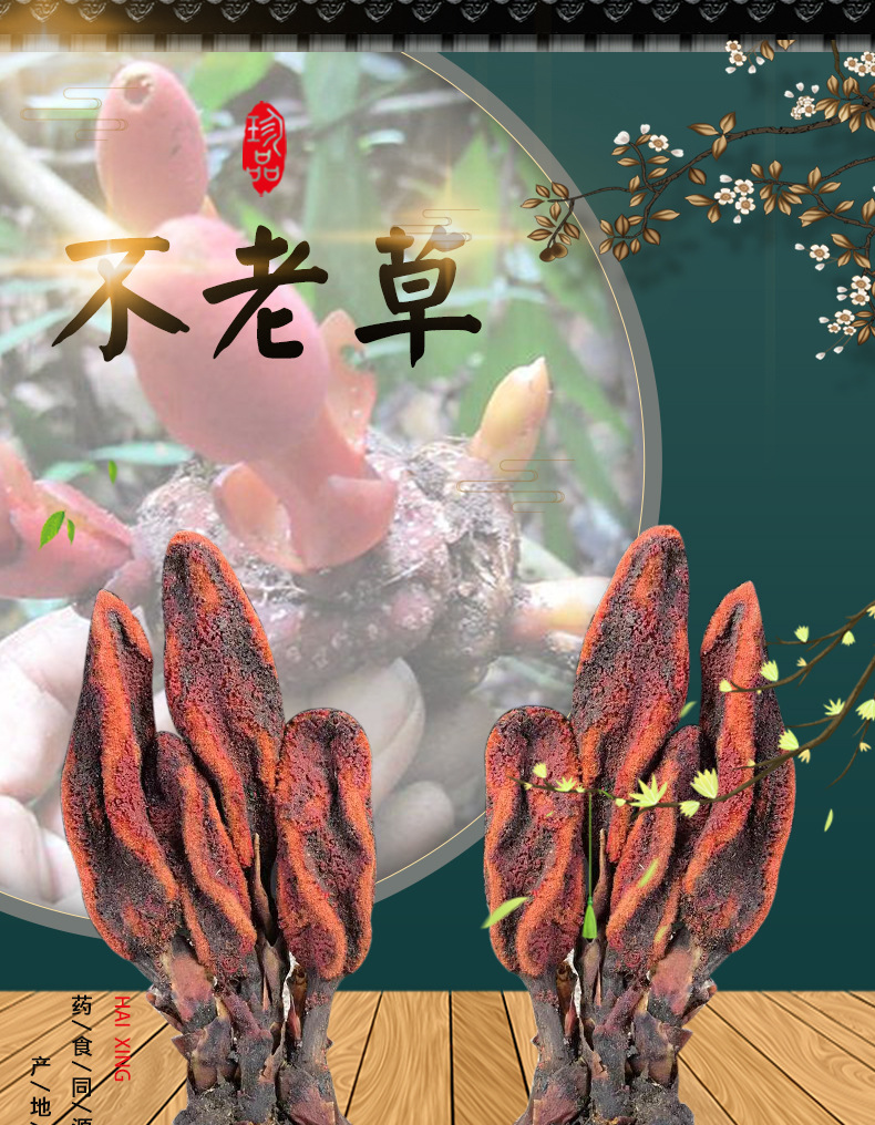 Hui Chun Cao Dried Herb 500g Wild-Crafted Yunnan Herb for Wine Infusion and Decoction overview