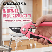 绿林园艺剪刀修剪专业级花卉果树剪枝条专用园艺工具树枝省力花剪