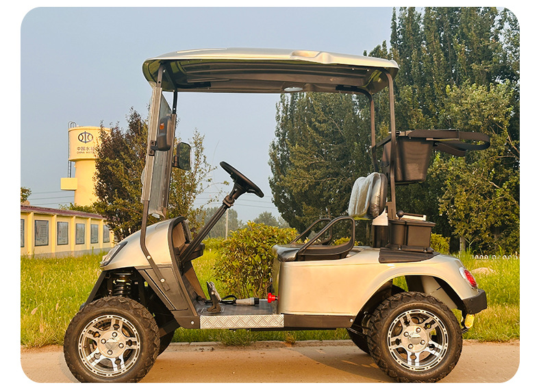 Golf Cart Scenic Spot Sightseeing Car 2-Seat Golf Cart Electric Sightseeing Car Airport Lawn Sightseeing Car