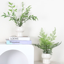 ����GֲС���Լٻ����滨�[�O�k���ҿ͏d�b[������������ֲ��