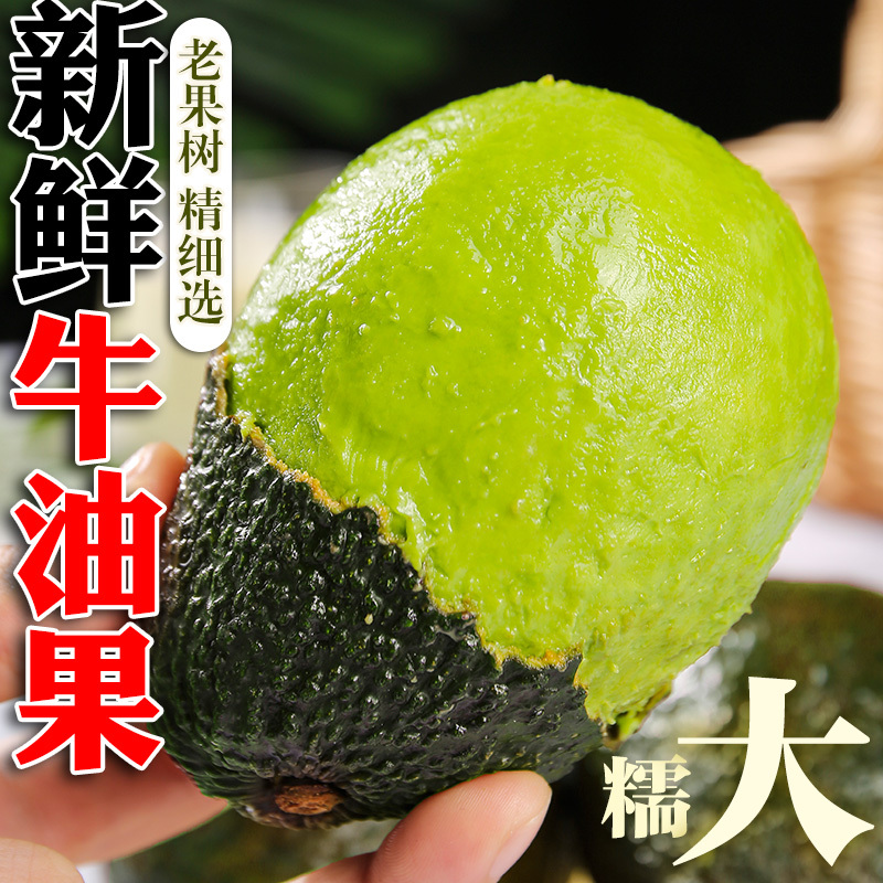 Haas Avocado, Seasonal Yunnan Domestic Large Fruit Avocado, Fresh Fruit for Baby Food, Seasonal Whole Box Direct Wholesale with Free Shipping