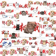 63������С؈���N�������Цmeme���D�Pӛ����X�֙C�N