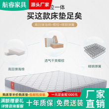 3E�h��Ҭ�ش��|����ܛӲ�m���o���������ɴ��|20cm���؉| TX-313