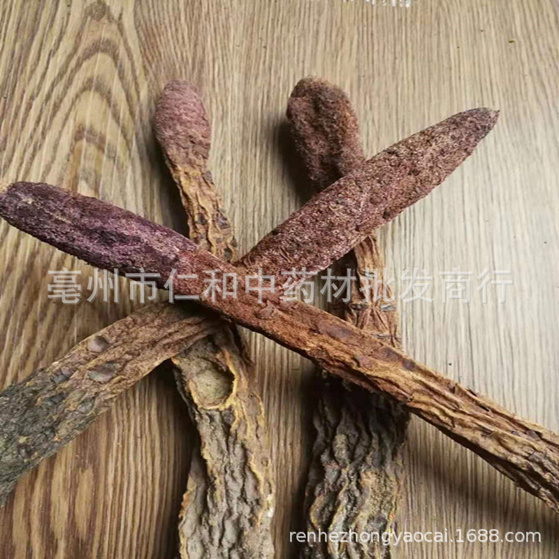 Dried Suo Yang Cynomorium Slices Whole Herb Tonic Herbal Tea and Decoction Ingredient in use