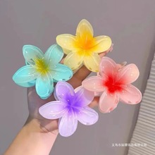 2025�¿��u������ץ�A���պ��X�װ����l�l�A��̖���~�A�Ӱl���^�