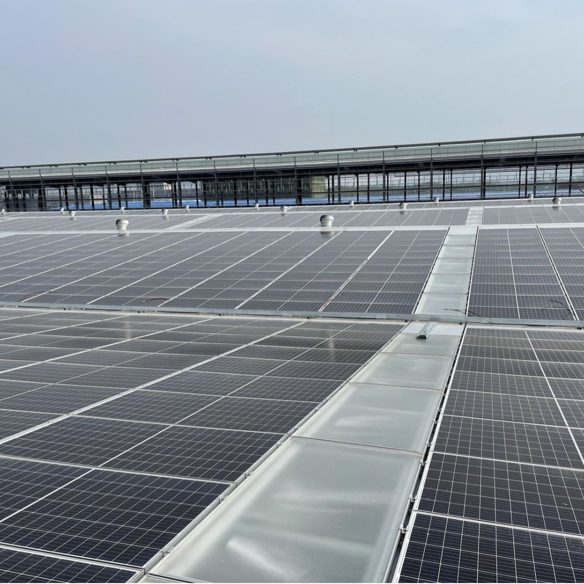 厦门连邦300KW太阳能混合离并网发电系统光伏储能