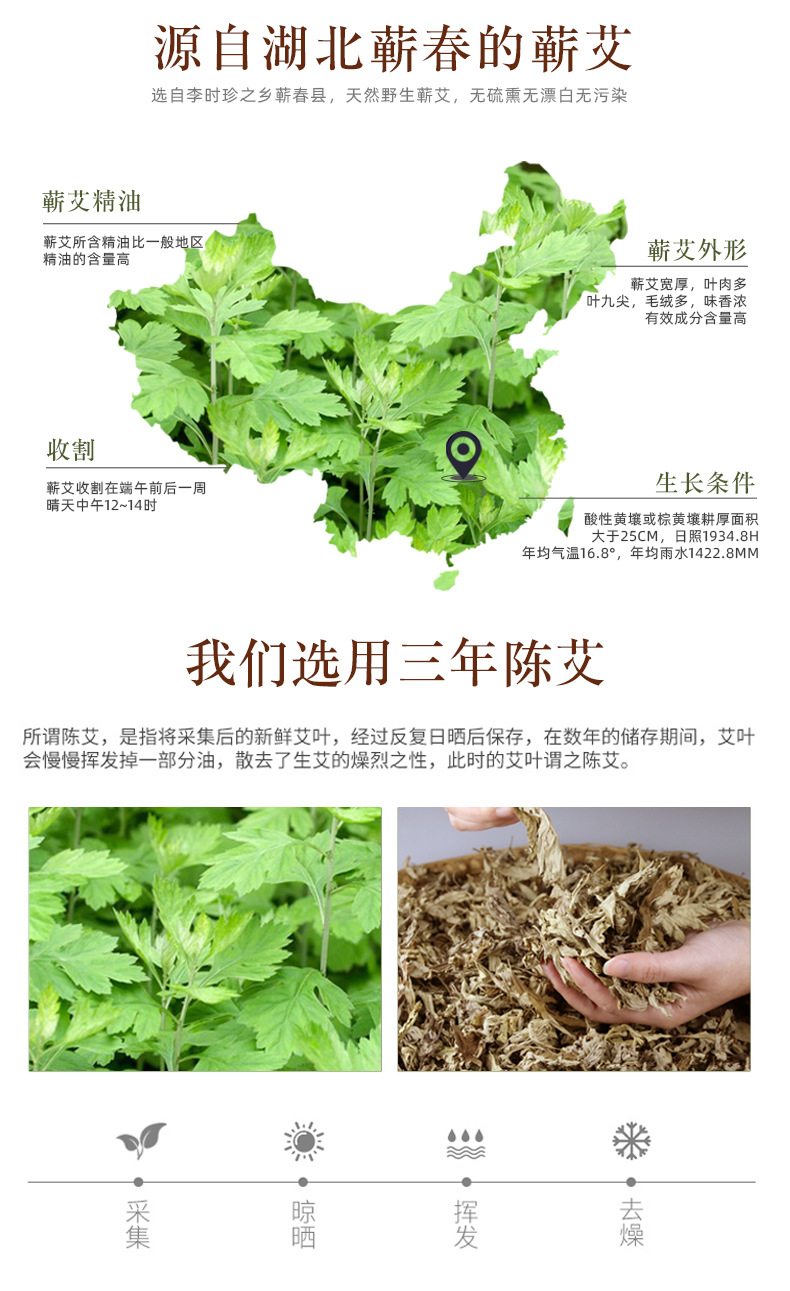 Qiren Tang Qiai Mugwort Foot Patches Herbal Foot Care 20 Patches per Box in use