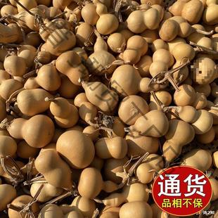 Miniature Genuine Small Hand Supply for Street Stalls, Natural Toy Pieces, First-Hand with Small Gourds, Factory-Made Dragon Head Twist