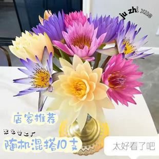 ˯ɏ�r���r�л������ɻ�ɏ���ٺϻ��͏dֲ��廨���ܻ���ֱ�l���]