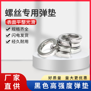 8.8����\���|�_�ڏ��ɉ|Ȧ���وA���ݽz���ɉ|���ɉ|Ƭ�_�ڽ���