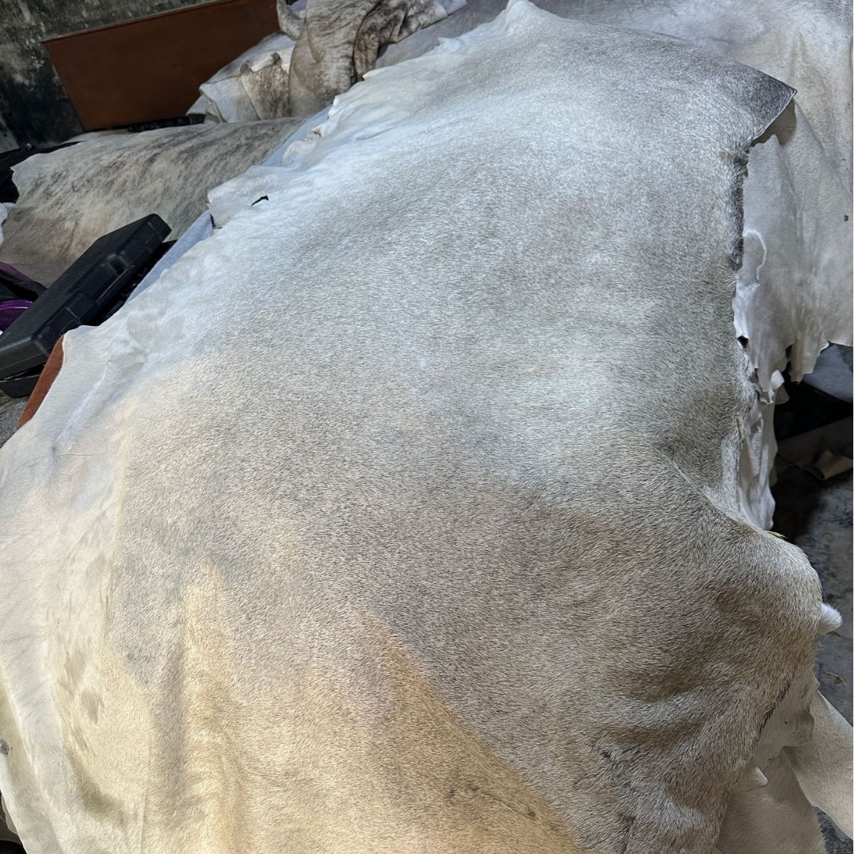 2025-04-26 13:16:58.jpg