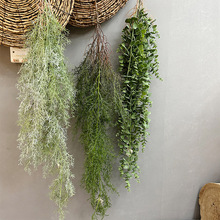 �S��ֱ�N����ˮ�����ȼ���ѩ�ɲ�˹���F��ާ�����b�ͥԺ�ٗl���l