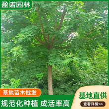 �������L�ڳ��۶�NҎ����Ǘ� ���@���^���̾G������Ǘ��L����