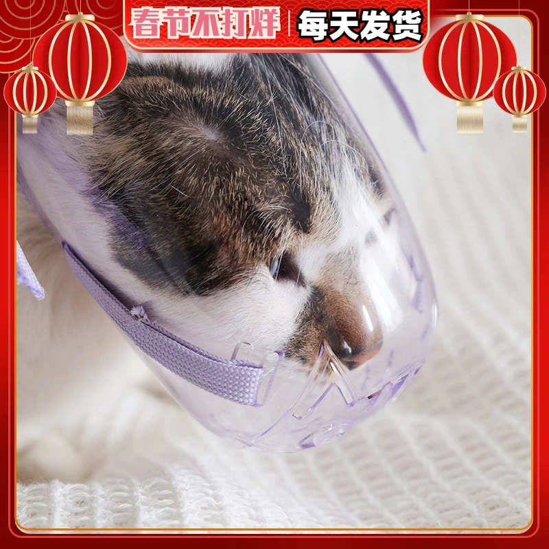 Прозрачный капюшон для кошек, намордник для кошек, маска для защиты от укусов, устройство для защиты от лая, маска для стрижки ногтей, дует намордник для защиты от укусов