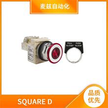 AC235 ����Ԫ���� ����ָʾ�ư�ť SQUARE D SGA8038L05