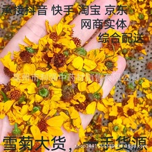 雪菊厂家直销 昆仑雪菊 花草茶新疆雪菊胎菊500g散装天山雪菊新货