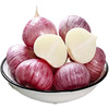 Yunnan Farm Purple single garlic Purple Garlic Redskins single garlic One piece On behalf of