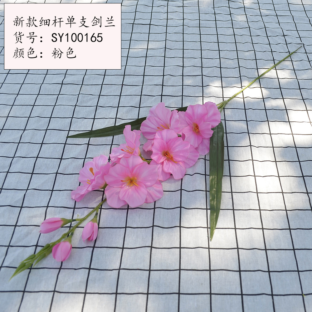 새로운 얇은 막대 단일 스피어 글라디올러스 핑크