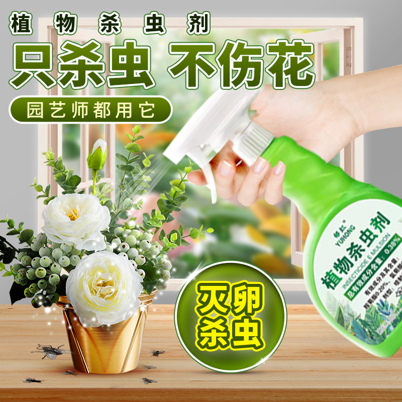 Insecticide for Succulents and Green Plants, Safe Liquid for Controlling Small Black Flies, Mealybugs, Aphids, and Mosquito Repellent