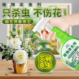 杀虫剂多肉绿萝除虫杀小黑飞介壳虫蚜虫微毒安全液态绿植守护防蚊