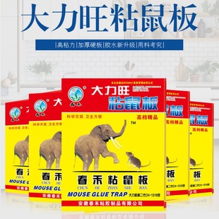 Chunhe Daliwang sticky mouse board strong sticky mouse board wholesale home catch mouse trap sticky mouse board