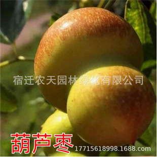 ���J�������޽��ش󶬗����ǽ�z󴗗�ϱ����NֲͥԺ����
