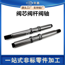 机械设备零部件液压阀杆阀芯定制不锈钢调节阀铝合金止回阀加工