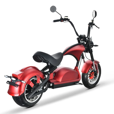 Warehouse Direct Electric Motorcycle, Elektrikli motosikletlər
