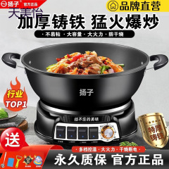 杨子电炒锅家用多功能蒸煮炒炖电锅一体式电火锅铸铁炒菜锅不粘锅