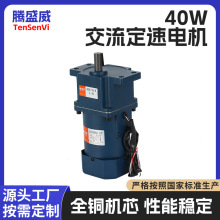腾盛威40W交流定速电机25W/40W/60W/90W/120W/200W减速箱直齿同轴