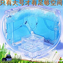 �������Bρρ�C�����B���BΛρ�����W����Λρ��Ѩ��B������ρ��