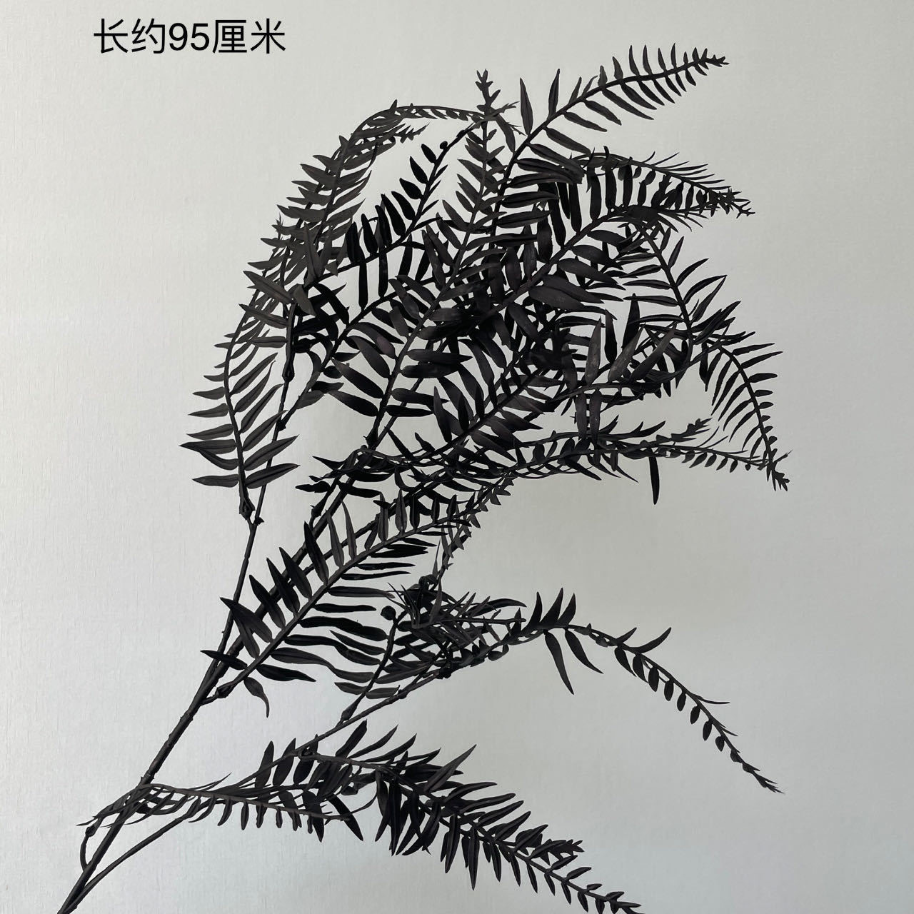 머리가 많은 페르시아어