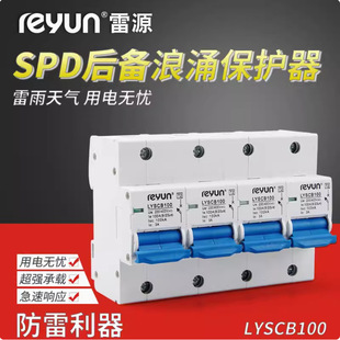 Leiyuan LYSCB-100KA/4P Surge Backup Protector Leiyuan Electric New Products recommend Surge New Products