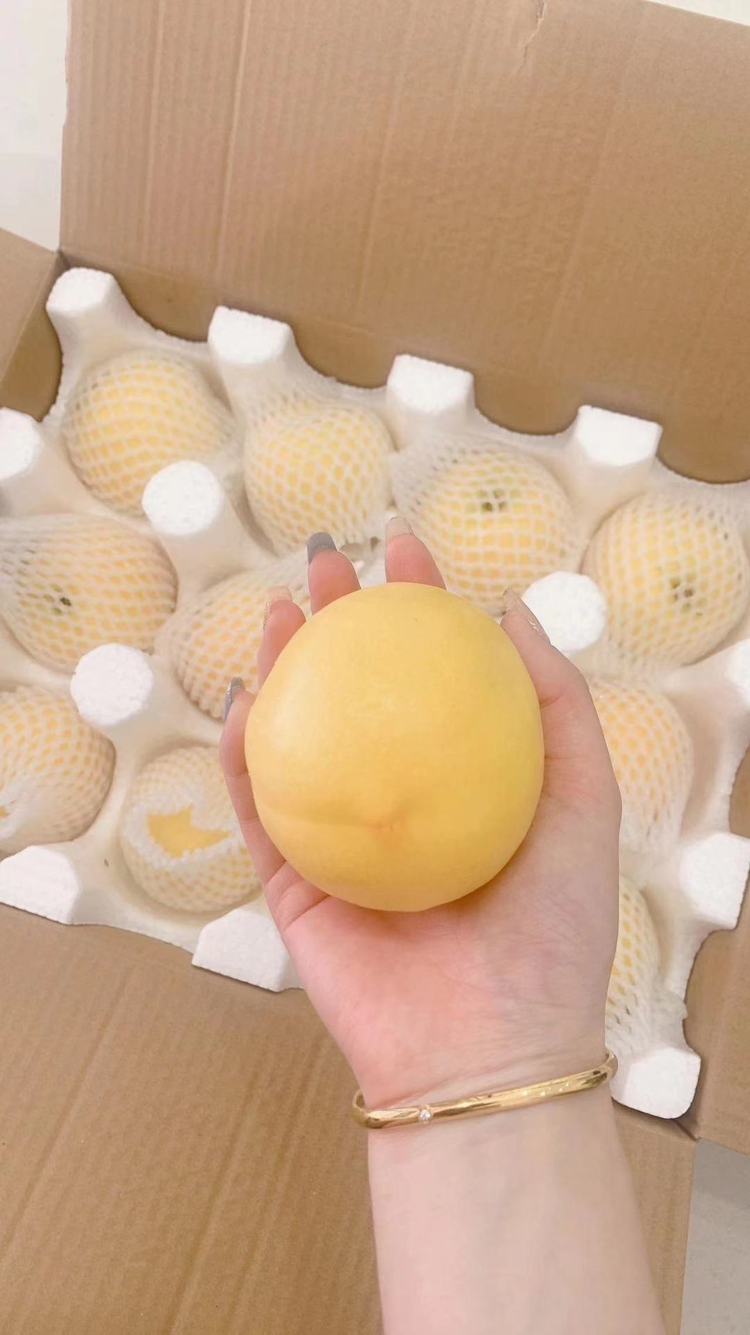 微信图片_20220522125729