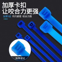 台湾华伟特氟龙四氟乙烯扎带耐化学耐腐蚀抗紫外线束线带2.5*100