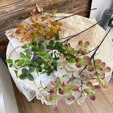 ����Gֲ��ޱ�~�߼��б����Ҹ��ň������üٻ���c�羳�廨�b�